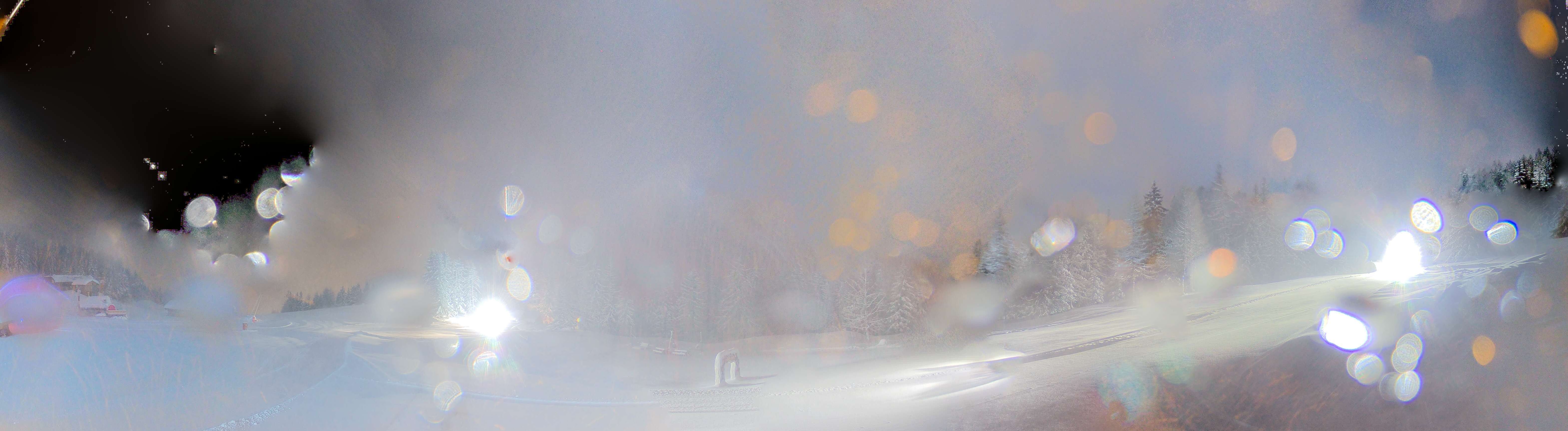 ste-foy-tarentaise_plan-bois