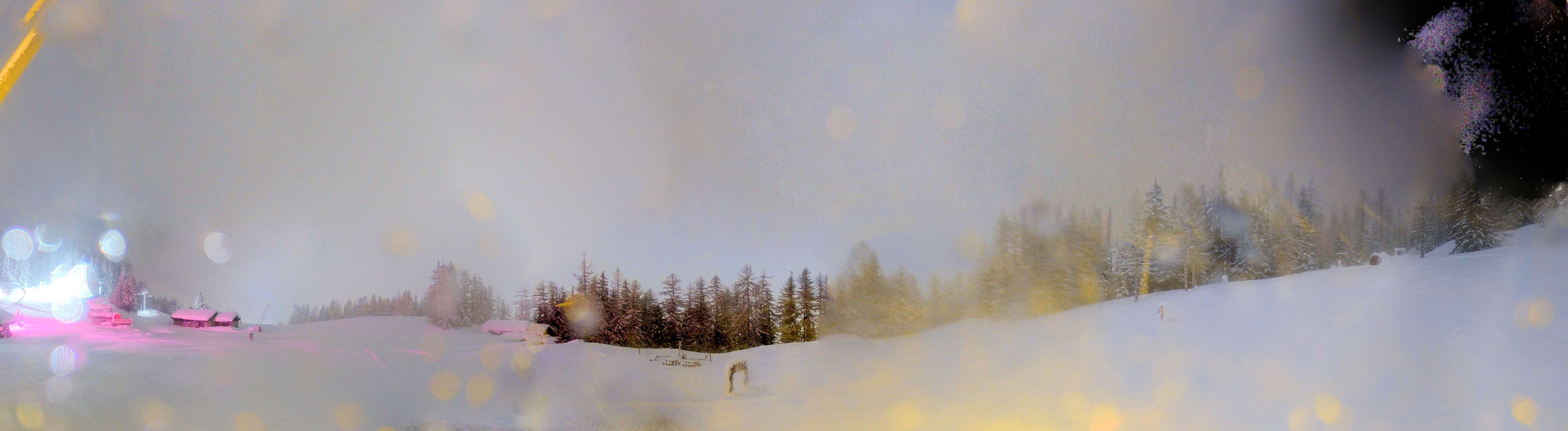 ste-foy-tarentaise_plan-bois